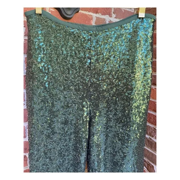 NWOT Anthropologie Joni Sequin Flare Pants in Dark Green Size 10 - Picture 8 of 14